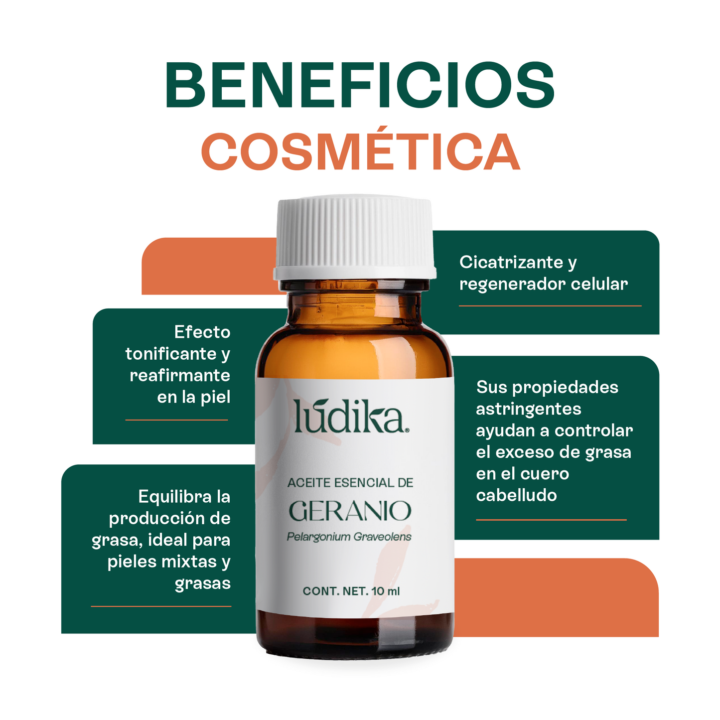 Aceite Esencial de Geranio | Facial, Spa y Aromaterapia | El Equilibrio Floral para Piel Radiante, Cabello Saludable y Bienestar Emocional
