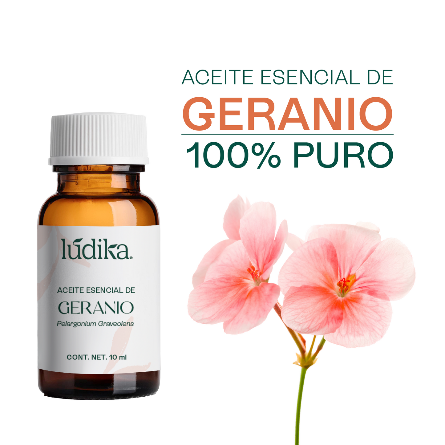 Aceite Esencial de Geranio | Facial, Spa y Aromaterapia | El Equilibrio Floral para Piel Radiante, Cabello Saludable y Bienestar Emocional