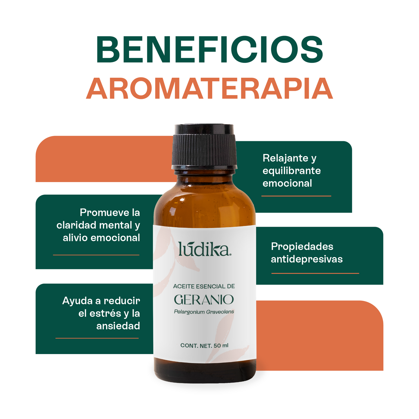 Aceite Esencial de Geranio | Facial, Spa y Aromaterapia | El Equilibrio Floral para Piel Radiante, Cabello Saludable y Bienestar Emocional