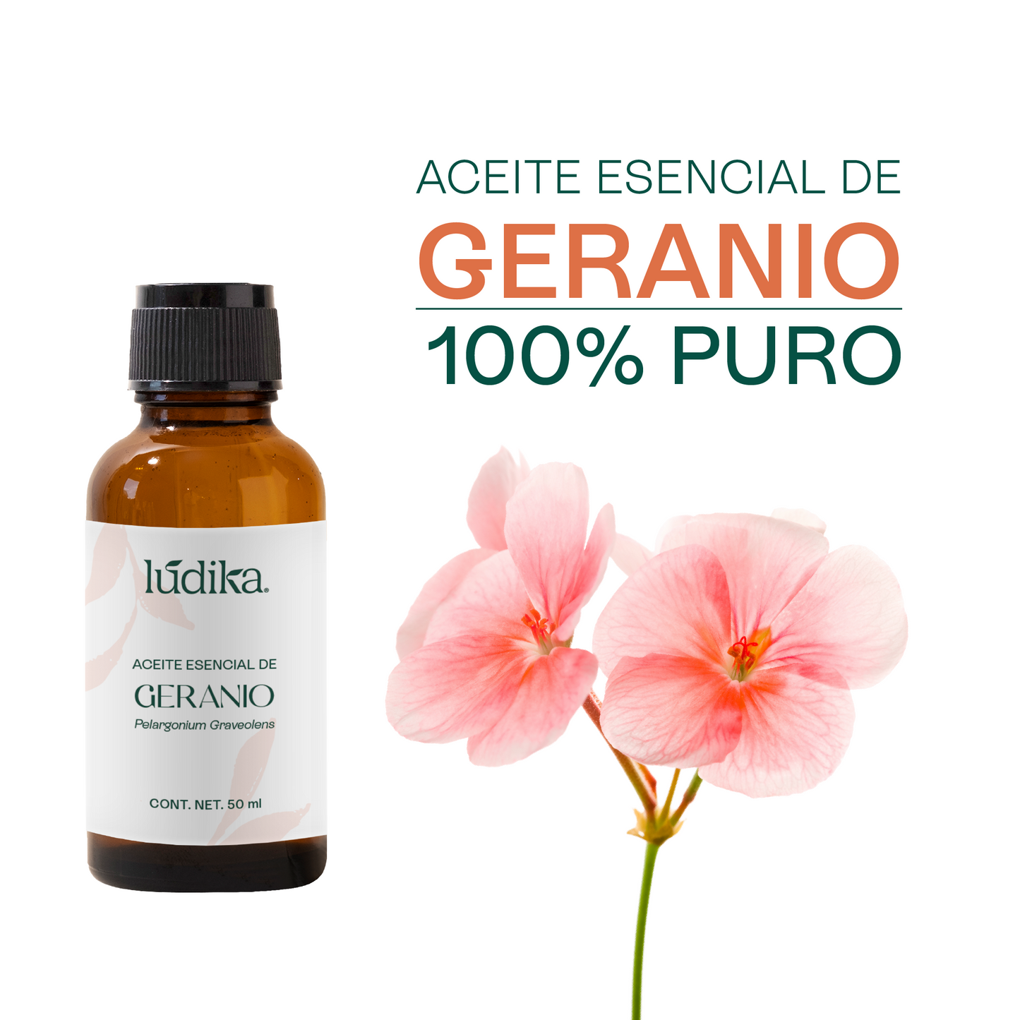 Aceite Esencial de Geranio | Facial, Spa y Aromaterapia | El Equilibrio Floral para Piel Radiante, Cabello Saludable y Bienestar Emocional