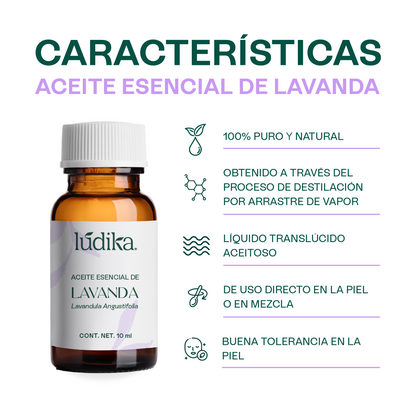 Aceite de Coco Fraccionado, Aceite Esencial de Lavanda y Romero | Kit Esencial Lúdika