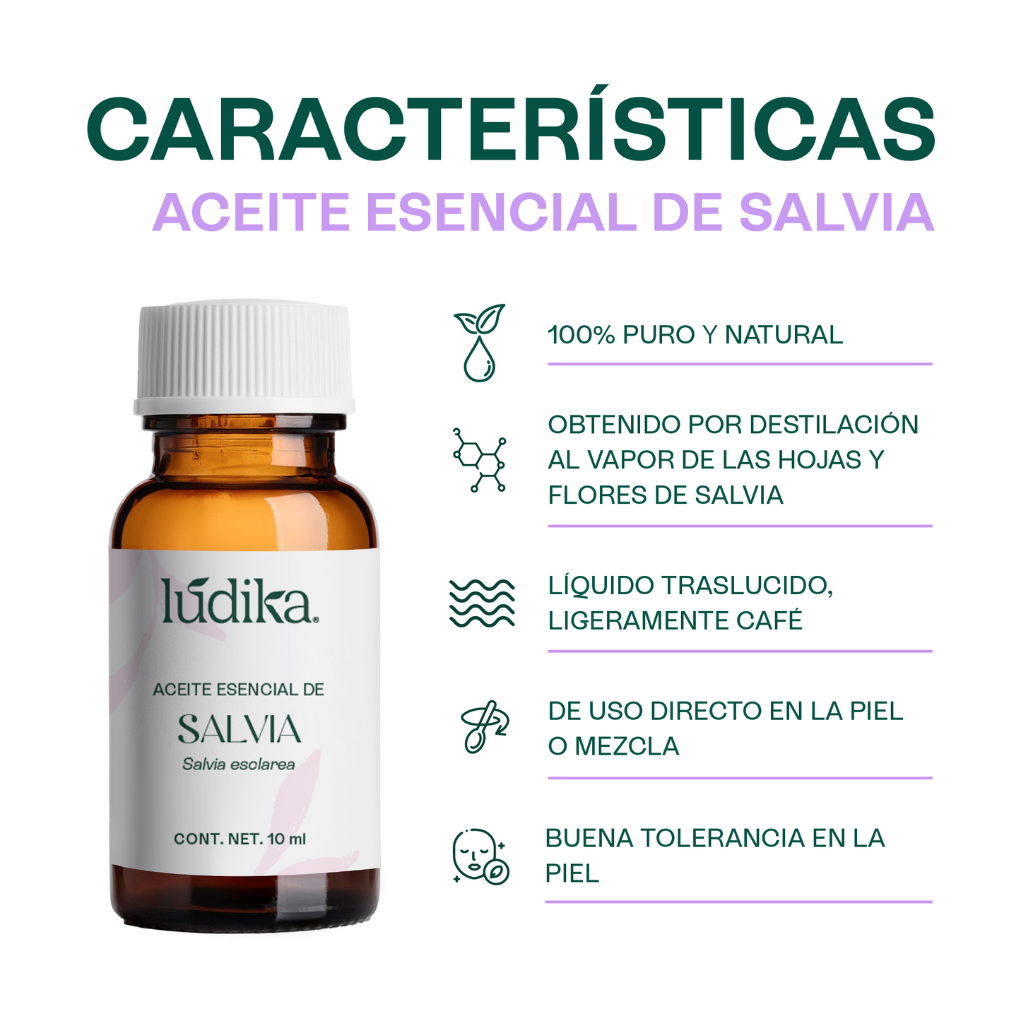Aceite Esencial de Salvia | Corporal, Spa  y Aromaterapia| Clarificante Mental, Regenerador Cutáneo y Equilibrante para Piel y Cabello