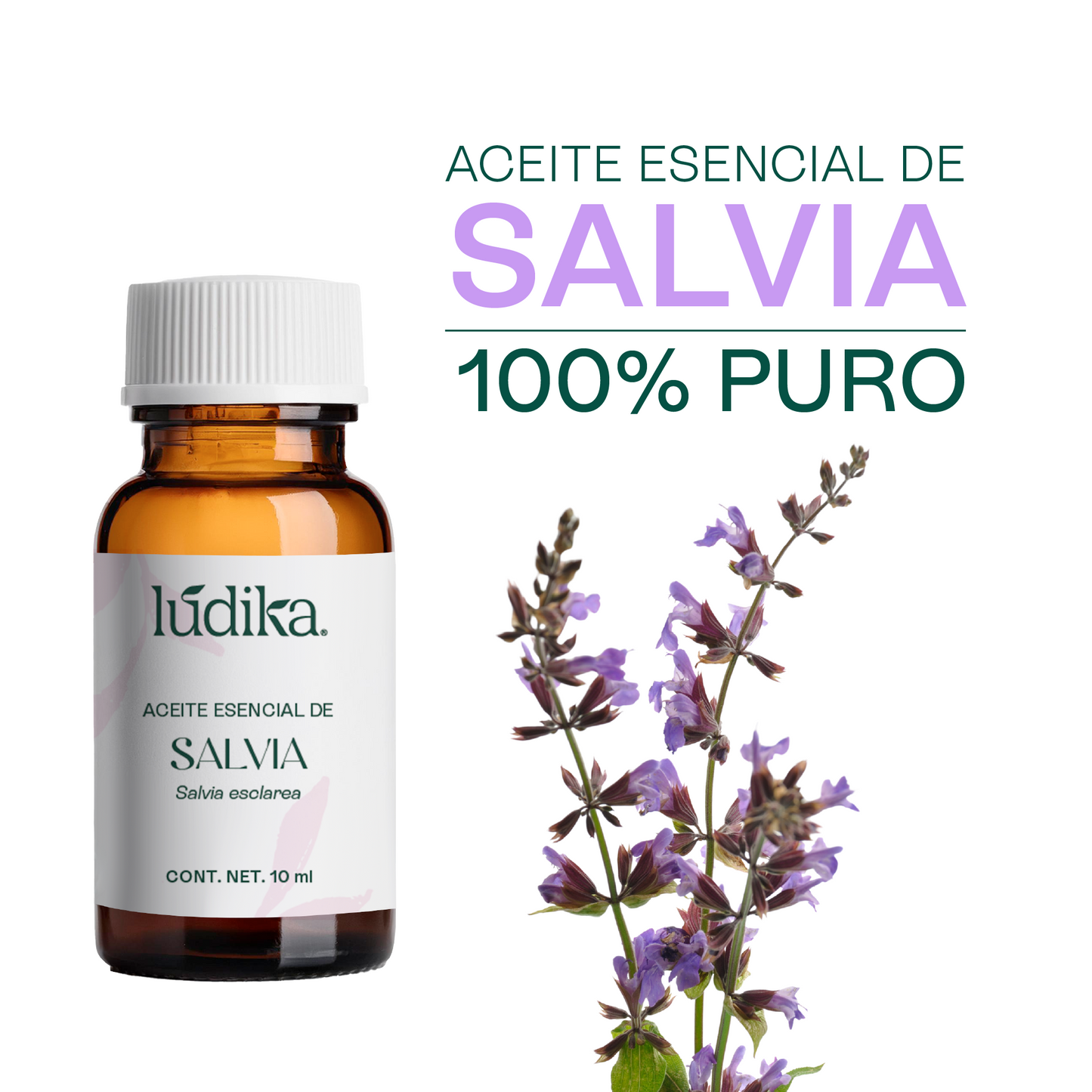 Aceite Esencial de Salvia | Corporal, Spa  y Aromaterapia| Clarificante Mental, Regenerador Cutáneo y Equilibrante para Piel y Cabello