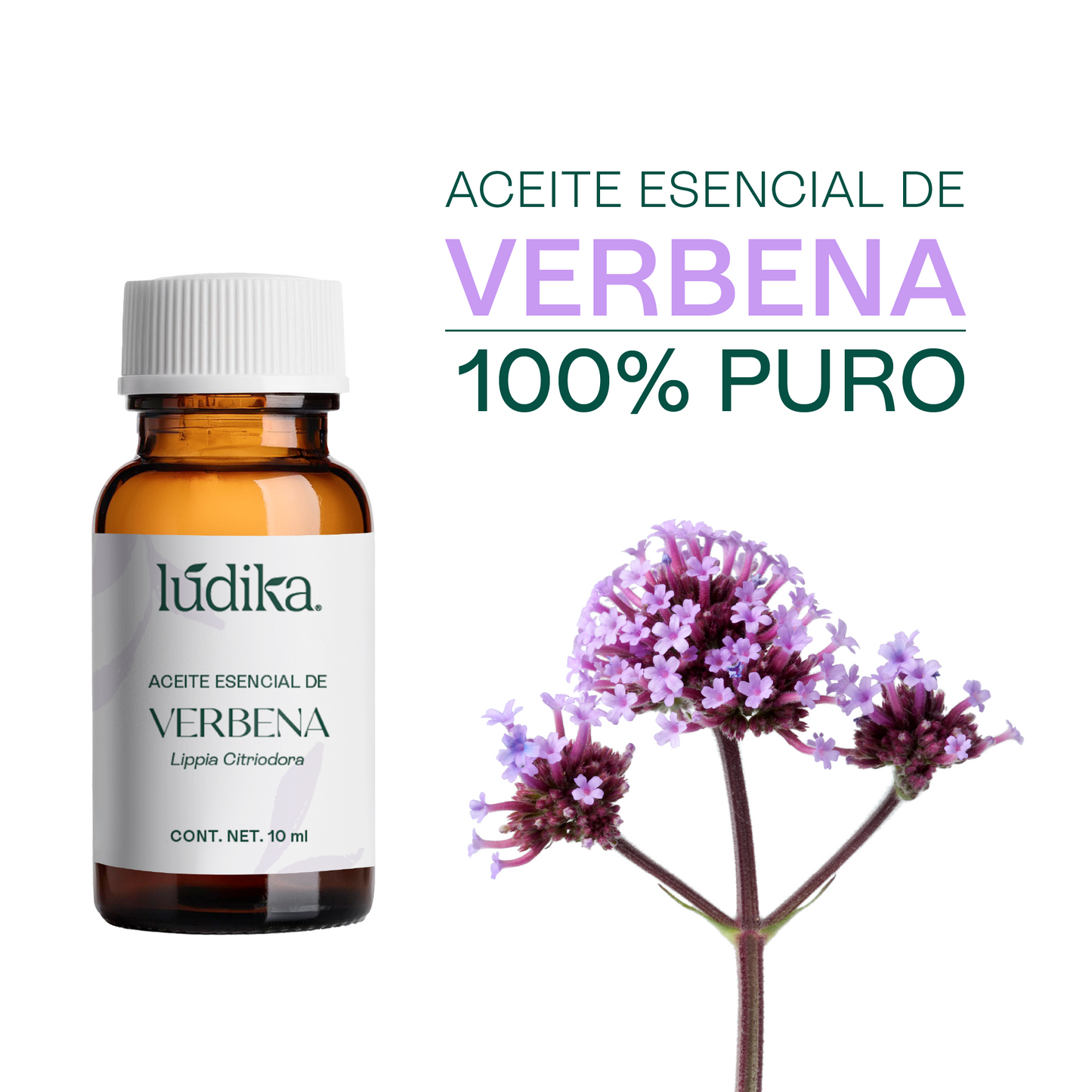 Aceite Esencial de Verbena | Corporal y Aromaterapia | Calmante y Purificante mental