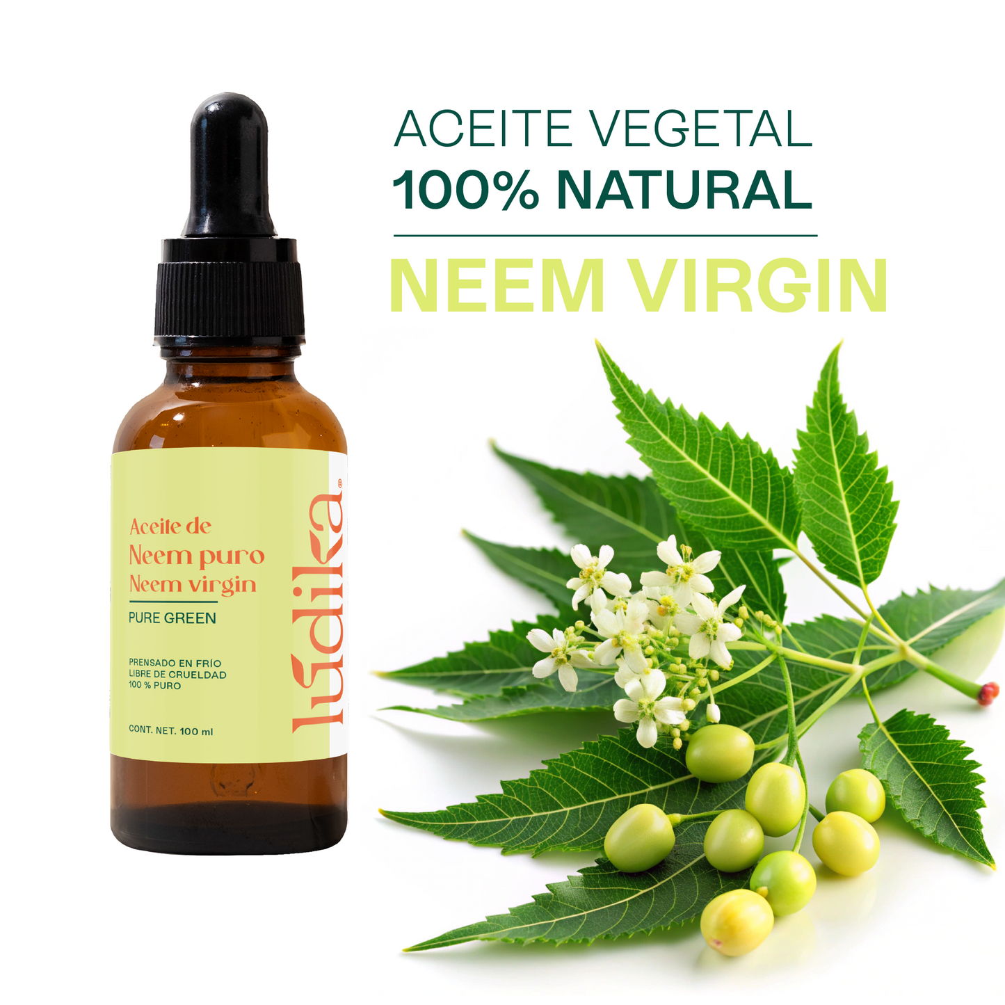 Aceite de Neem Virgen | Capilar y Facial | Purificante, Calmante y Protector Antiedad y Antimosquitos