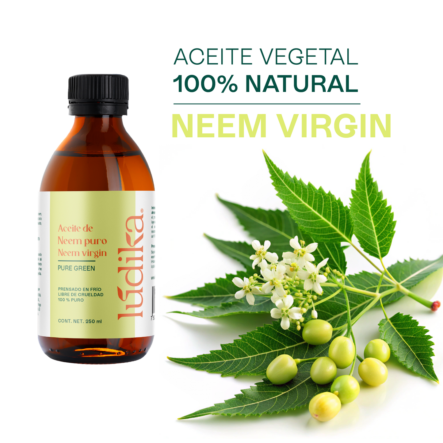 Aceite de Neem Virgen | Capilar y Facial | Purificante, Calmante y Protector Antiedad y Antimosquitos