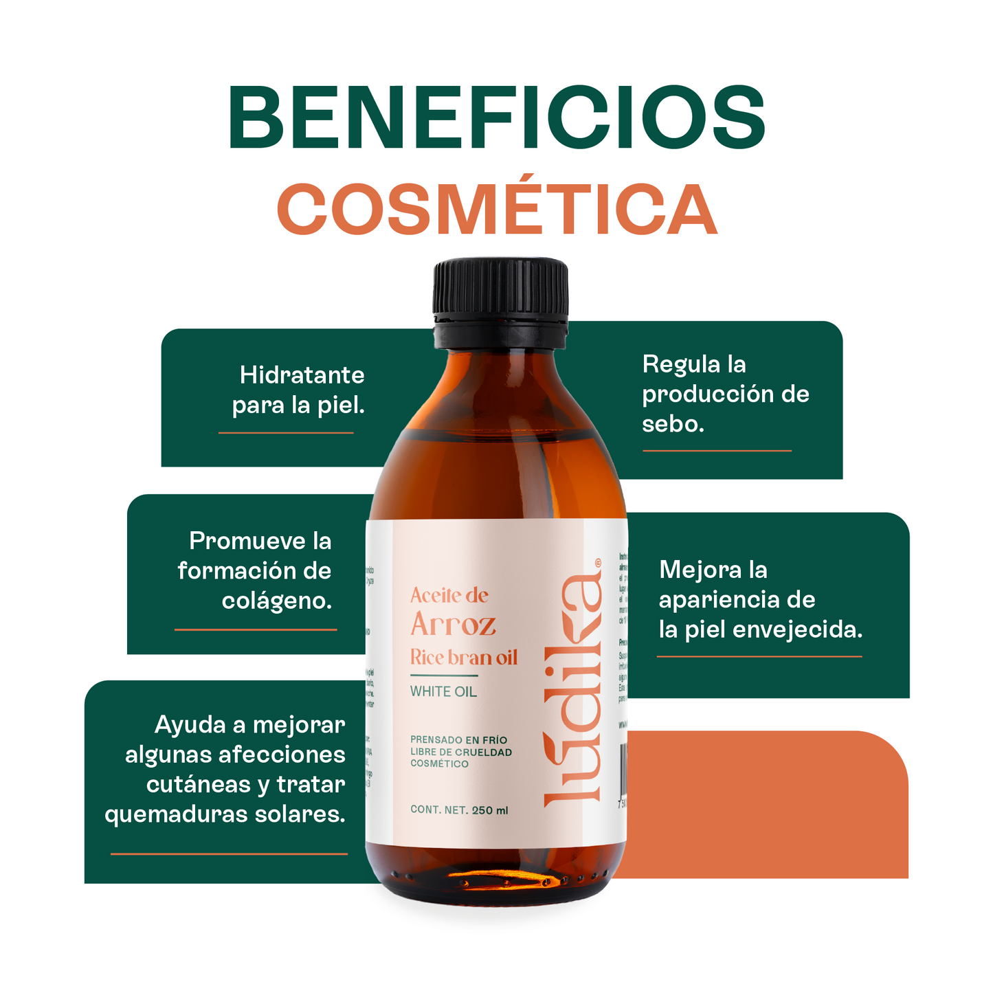 Aceite de Arroz Integral Puro | Facial y Capilar | Antioxidante, Hidratante e ideal para el contorno de ojos