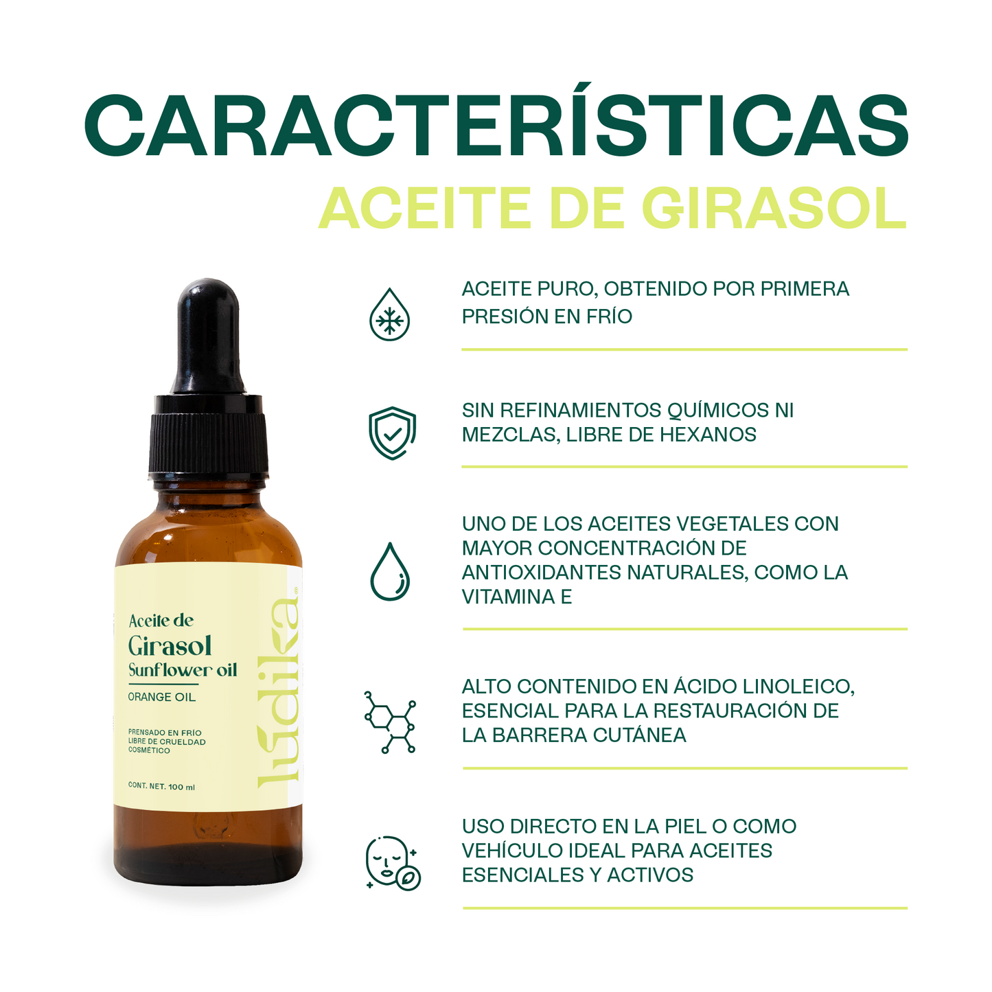 Aceite de Girasol | Facial, Capilar y Corporal | El Aliado Antioxidante y Aceite Base con Vitamina E