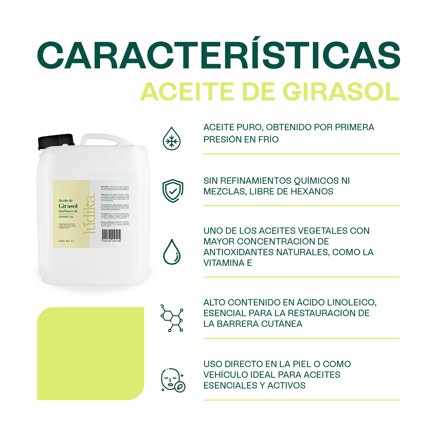 Aceite de Girasol | Facial, Capilar y Corporal | El Aliado Antioxidante y Aceite Base con Vitamina E