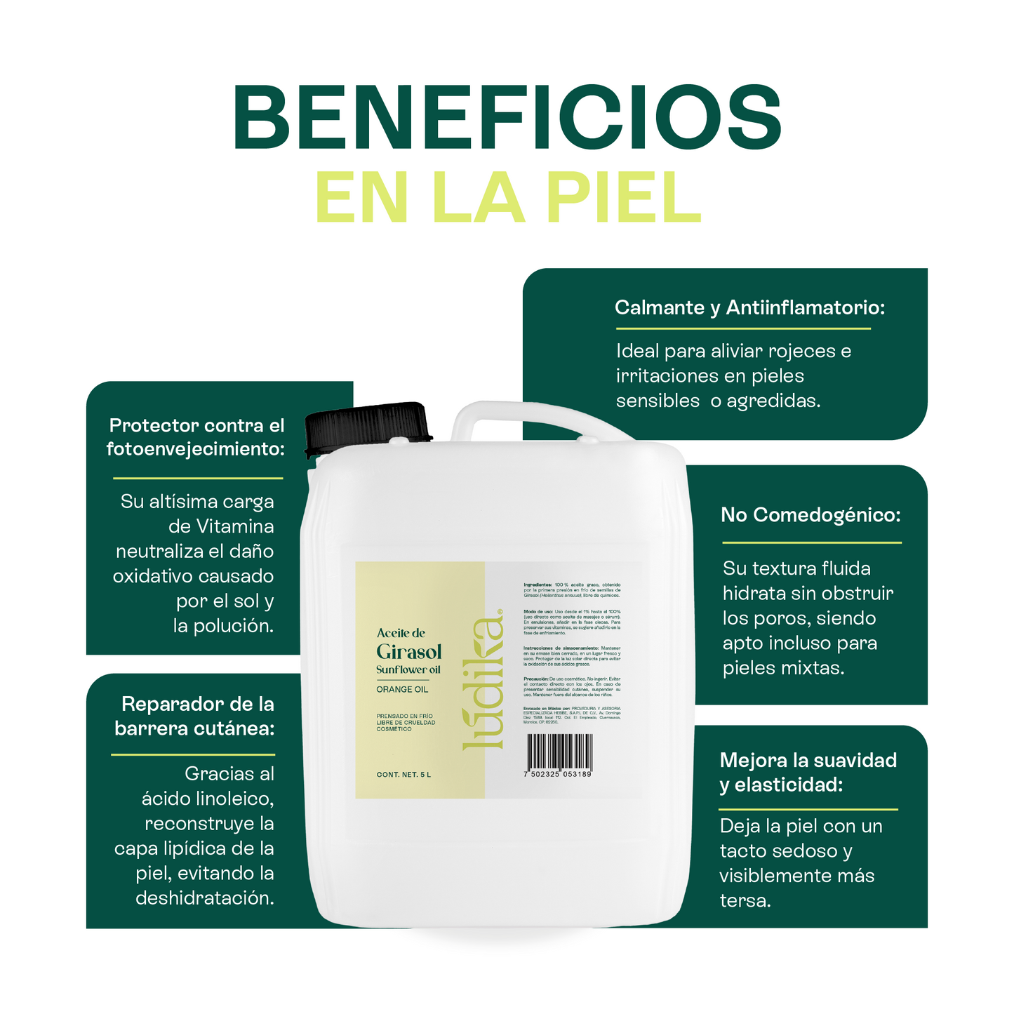Aceite de Girasol | Facial, Capilar y Corporal | El Aliado Antioxidante y Aceite Base con Vitamina E
