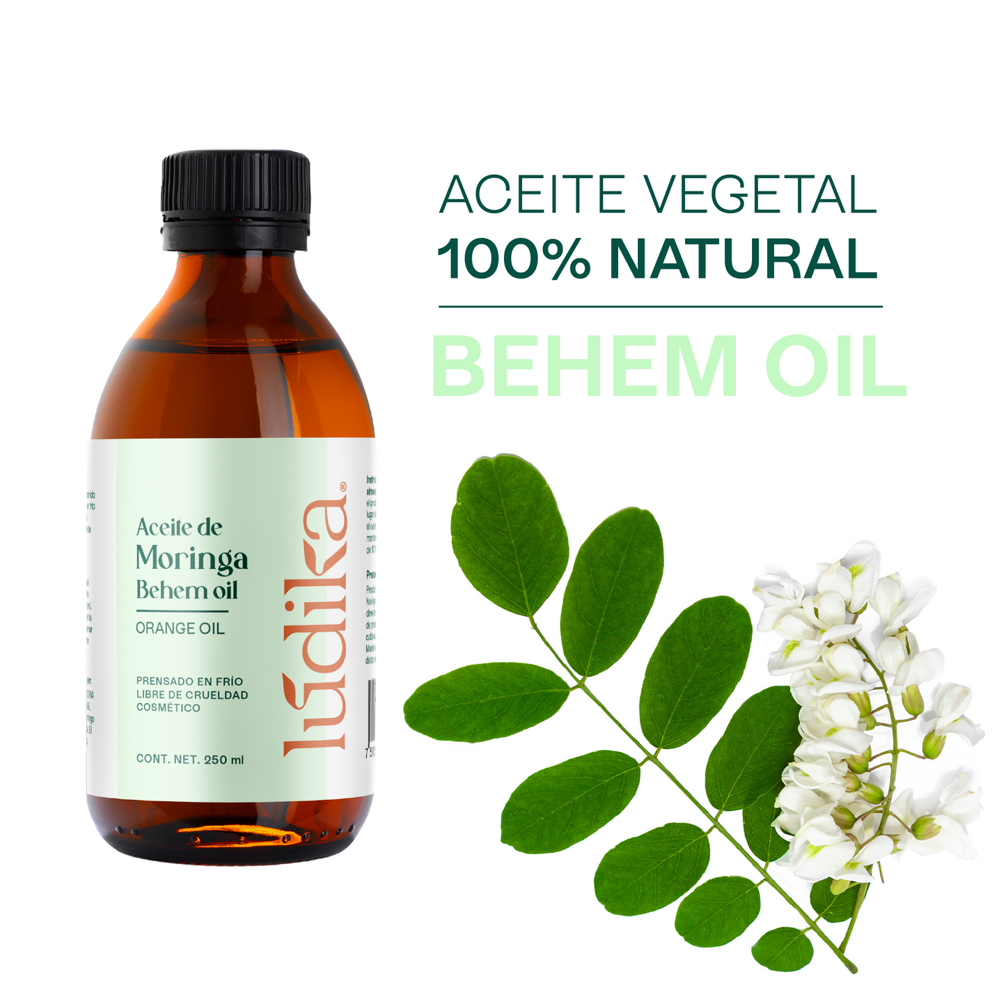 Aceite de Moringa | Facial, Corporal y Capilar | El Elixir Antienvejecimiento y Protector Anti-Polución