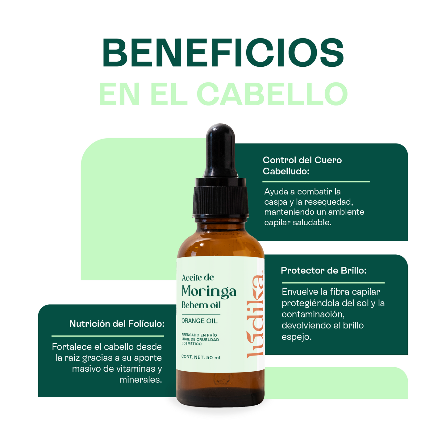 Aceite de Moringa | Facial, Corporal y Capilar | El Elixir Antienvejecimiento y Protector Anti-Polución