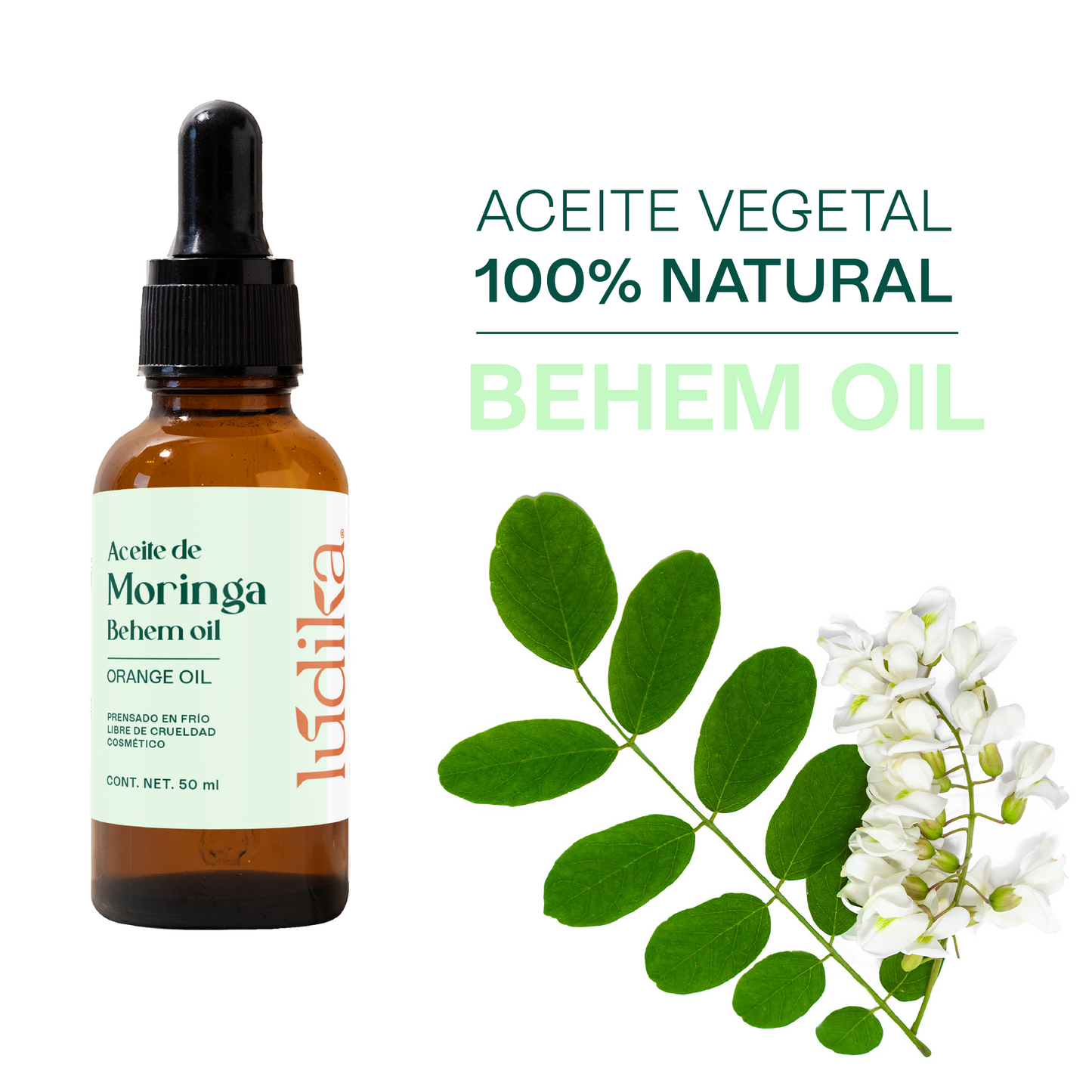 Aceite de Moringa | Facial, Corporal y Capilar | El Elixir Antienvejecimiento y Protector Anti-Polución