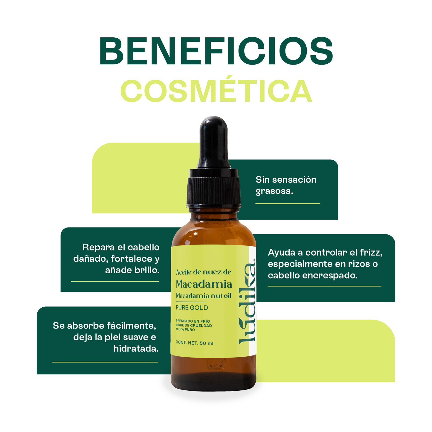 Aceite de Nuez de Macadamia | Facial y Capilar | Antiedad, Reparador Capilar y Súper Hidratante