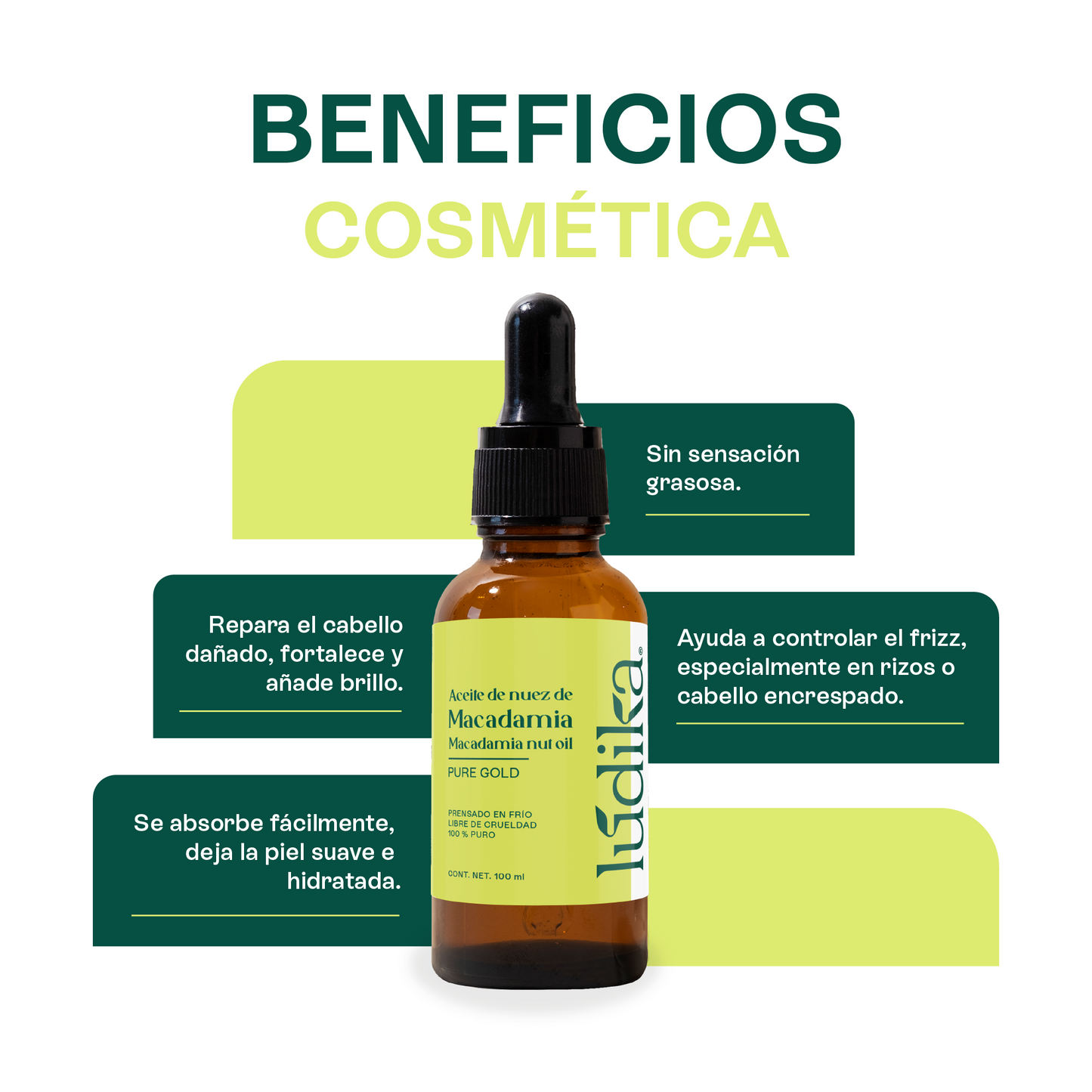 Aceite de Nuez de Macadamia | Facial y Capilar | Antiedad, Reparador Capilar y Súper Hidratante