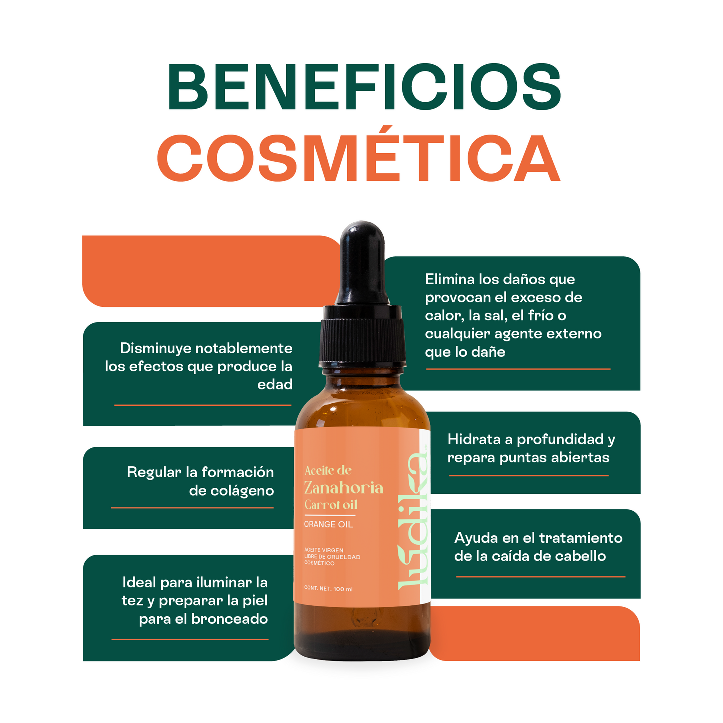 Aceite de Zanahoria Natural | Facial y Corporal | Antioxidante, Regenerador Antiedad y Protector Natural