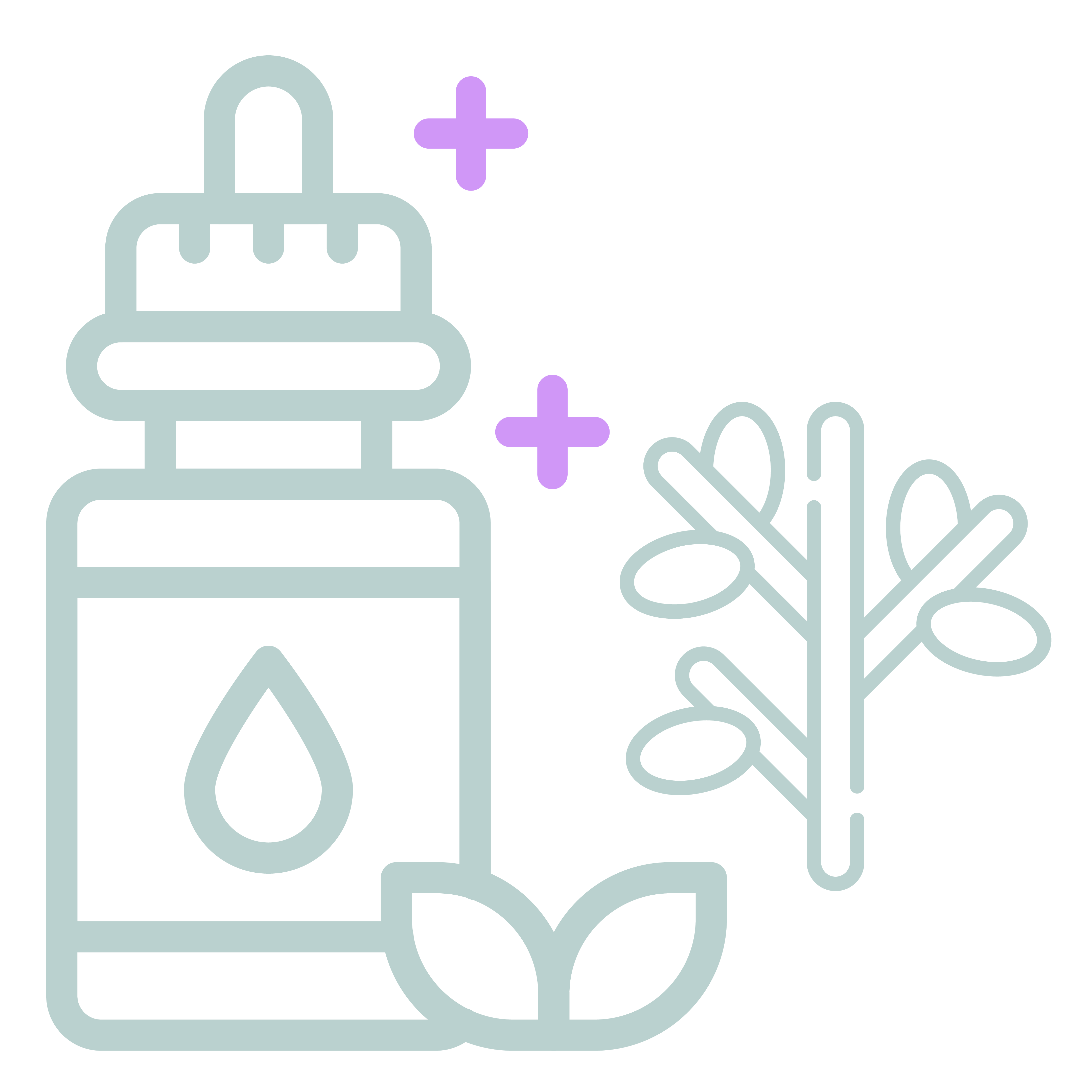 Aceite esencial de eucalipto / Ciprés