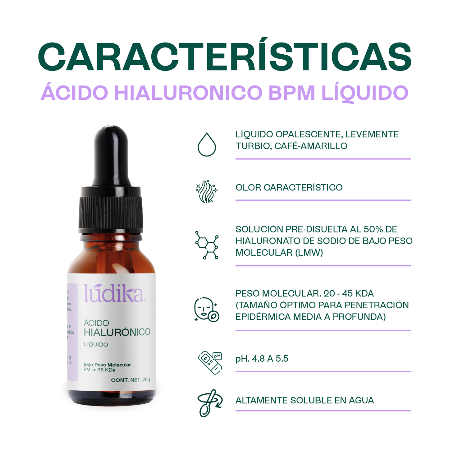 Ácido Hialurónico (Bajo Peso Molecular Líquido) | Hidratación Profunda y Reparación | Elasticidad y Firmeza