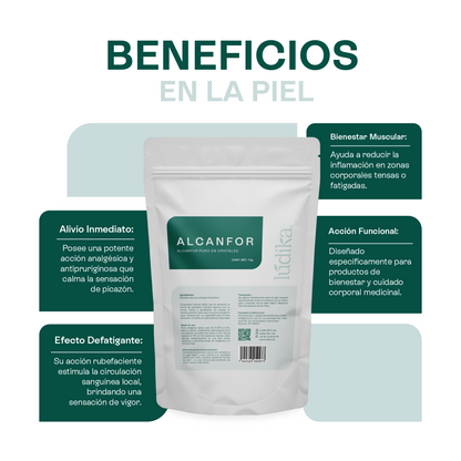 Alcanfor en Cristales | Propiedades Analgésicas, Calmantes y Descongestivas