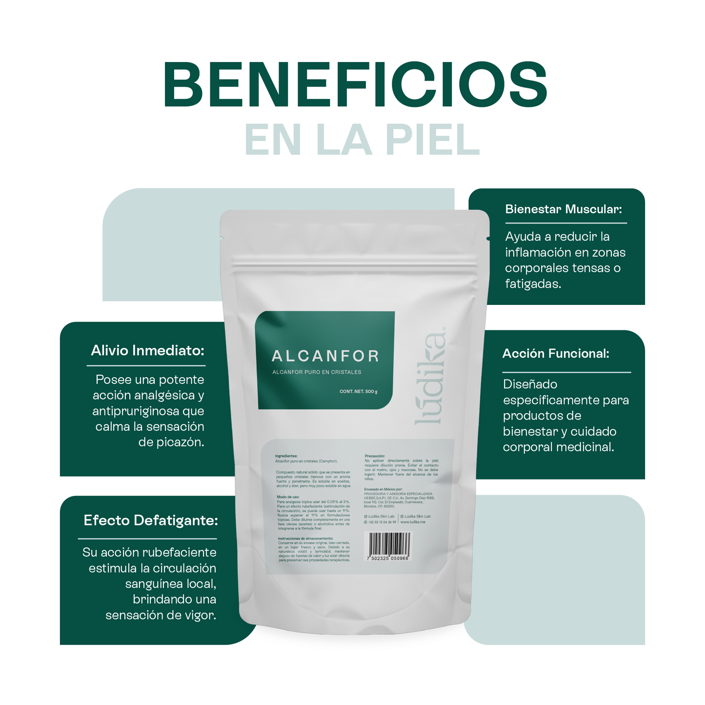 Alcanfor en Cristales | Propiedades Analgésicas, Calmantes y Descongestivas