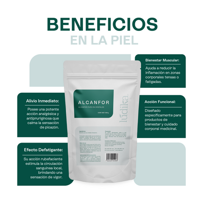 Alcanfor en Cristales | Propiedades Analgésicas, Calmantes y Descongestivas