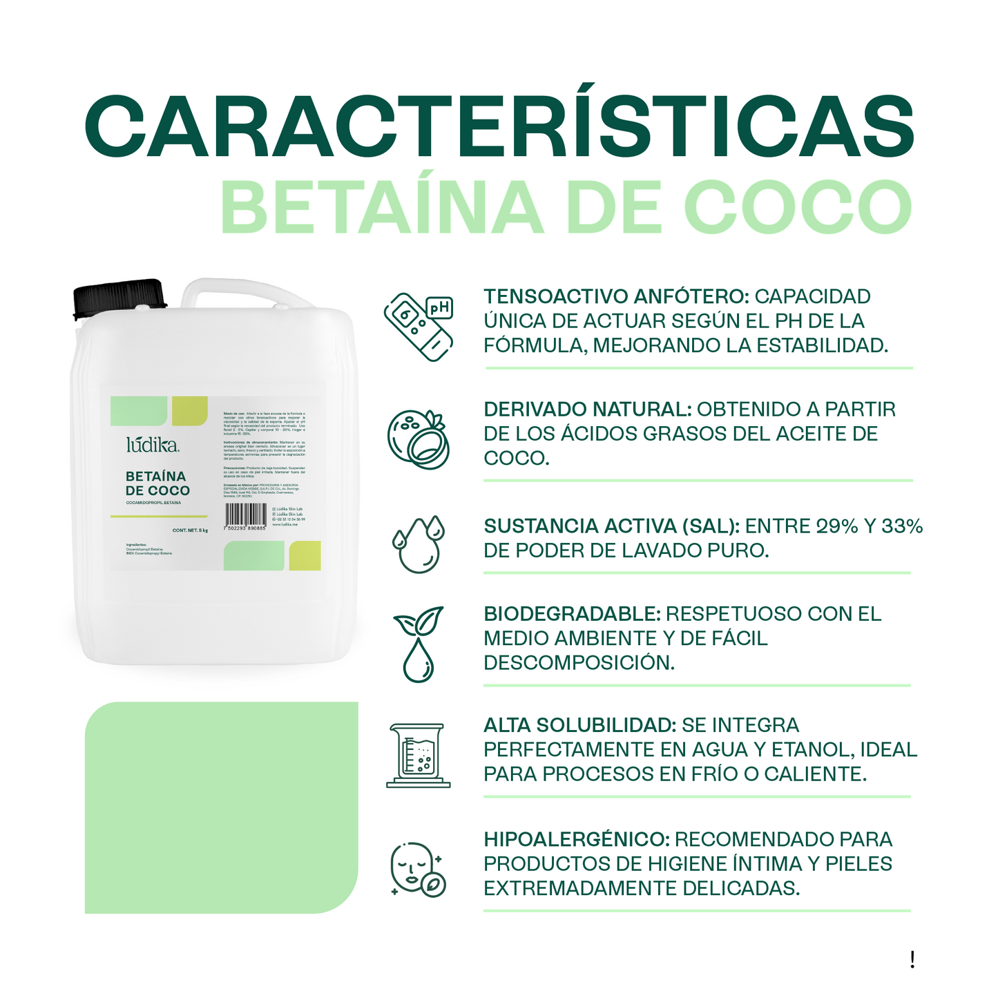 Betaína de Coco | Co-Tensioactivo y Potenciador de Espuma | Suavidad Derivada del Coco