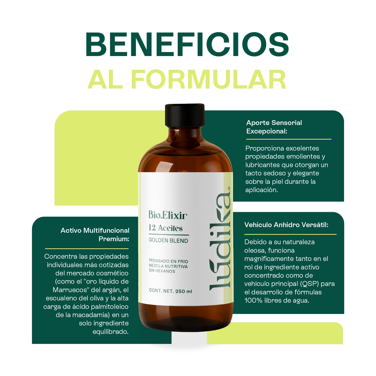 Mezcla 12 aceites Bioelixir