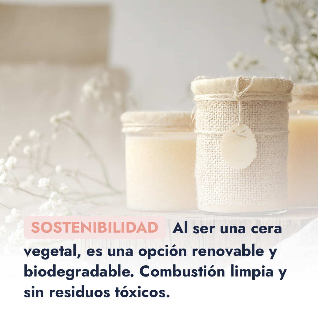 Cera de Soya Bajo Punto de Fusión | La Base Ideal para Velas Aromáticas y Decorativas