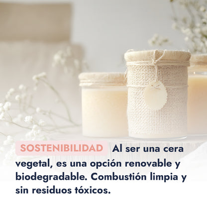 Cera de Soya Bajo Punto de Fusión | La Base Ideal para Velas Aromáticas y Decorativas