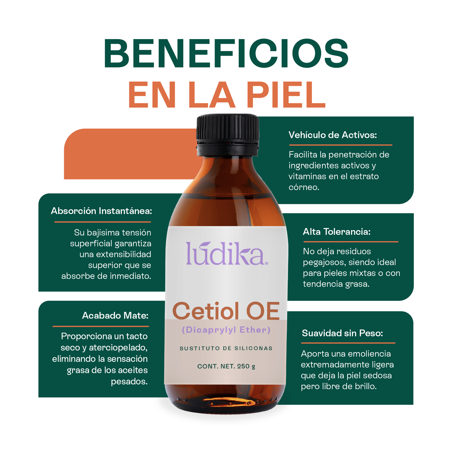 Cetiol OE | Dicaprylyl Ether | Sustituto de Siliconas, Toque seco y Frescura inmediata