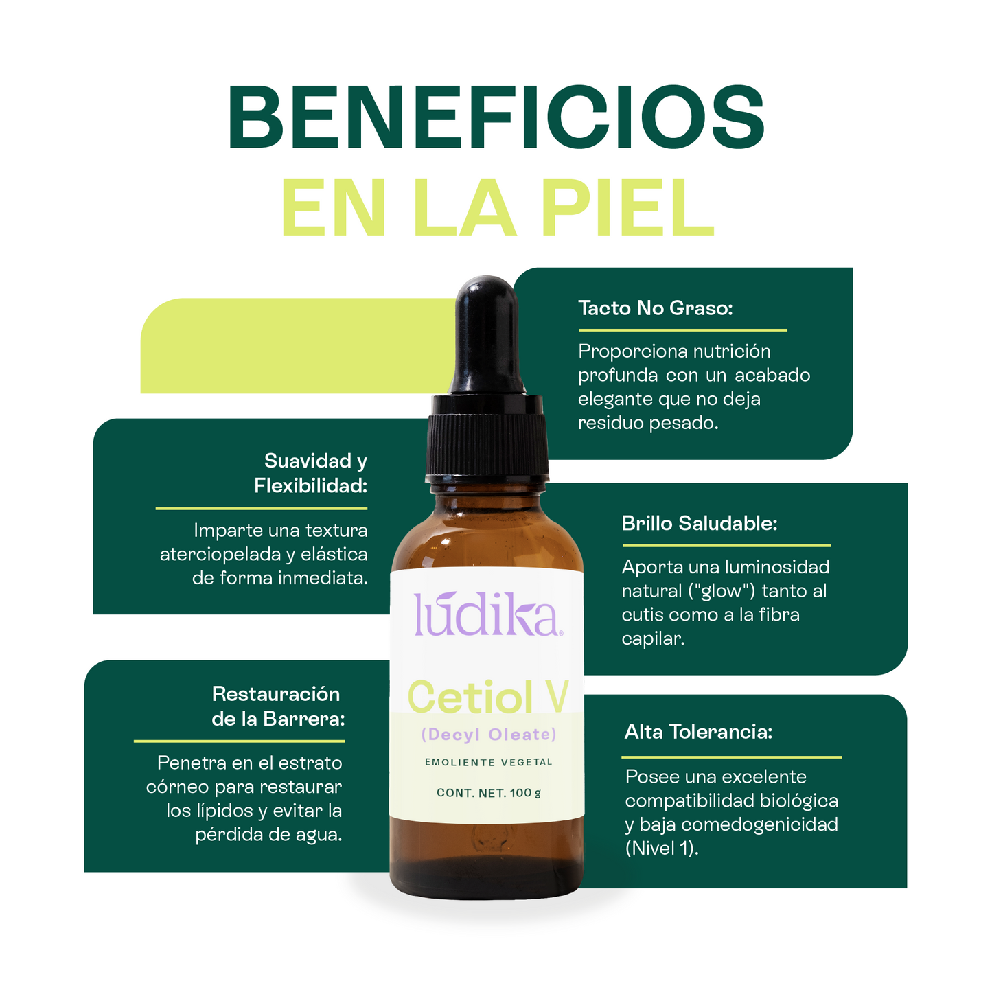 Cetiol V | Éster de origen vegetal | Versatilidad y Afinidad Lipídica para la fase Oleosa