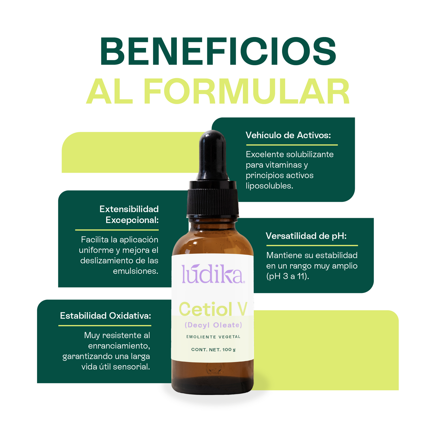 Cetiol V | Éster de origen vegetal | Versatilidad y Afinidad Lipídica para la fase Oleosa