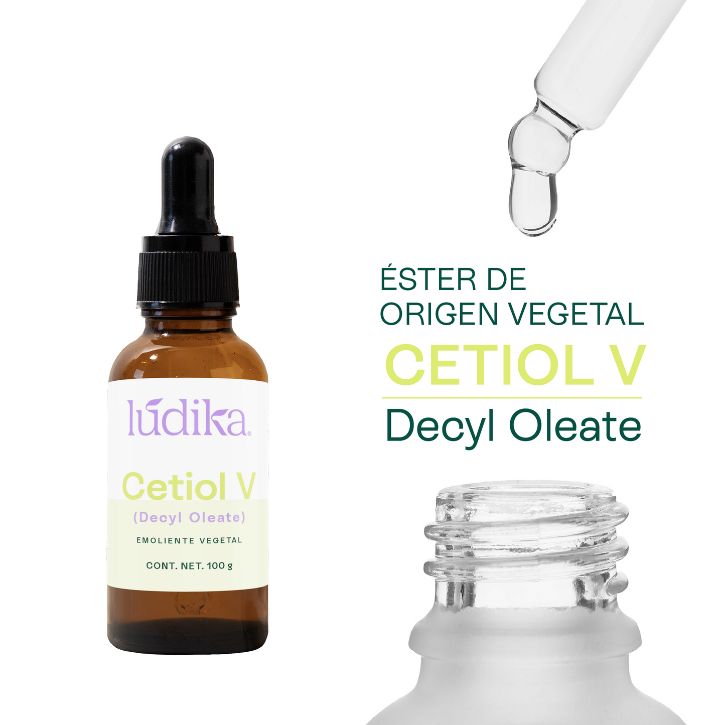 Cetiol V | Éster de origen vegetal | Versatilidad y Afinidad Lipídica para la fase Oleosa