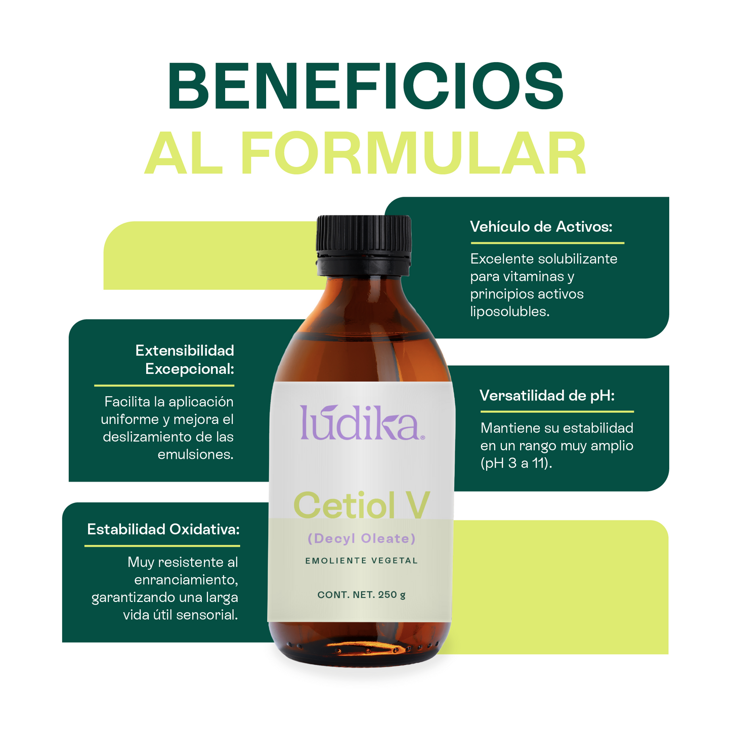 Cetiol V | Éster de origen vegetal | Versatilidad y Afinidad Lipídica para la fase Oleosa