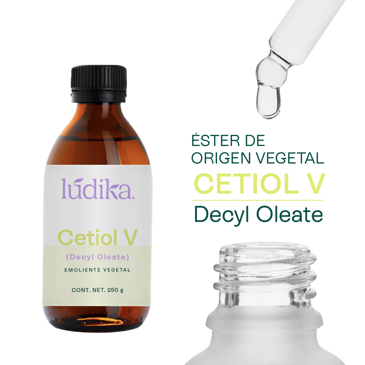 Cetiol V | Éster de origen vegetal | Versatilidad y Afinidad Lipídica para la fase Oleosa