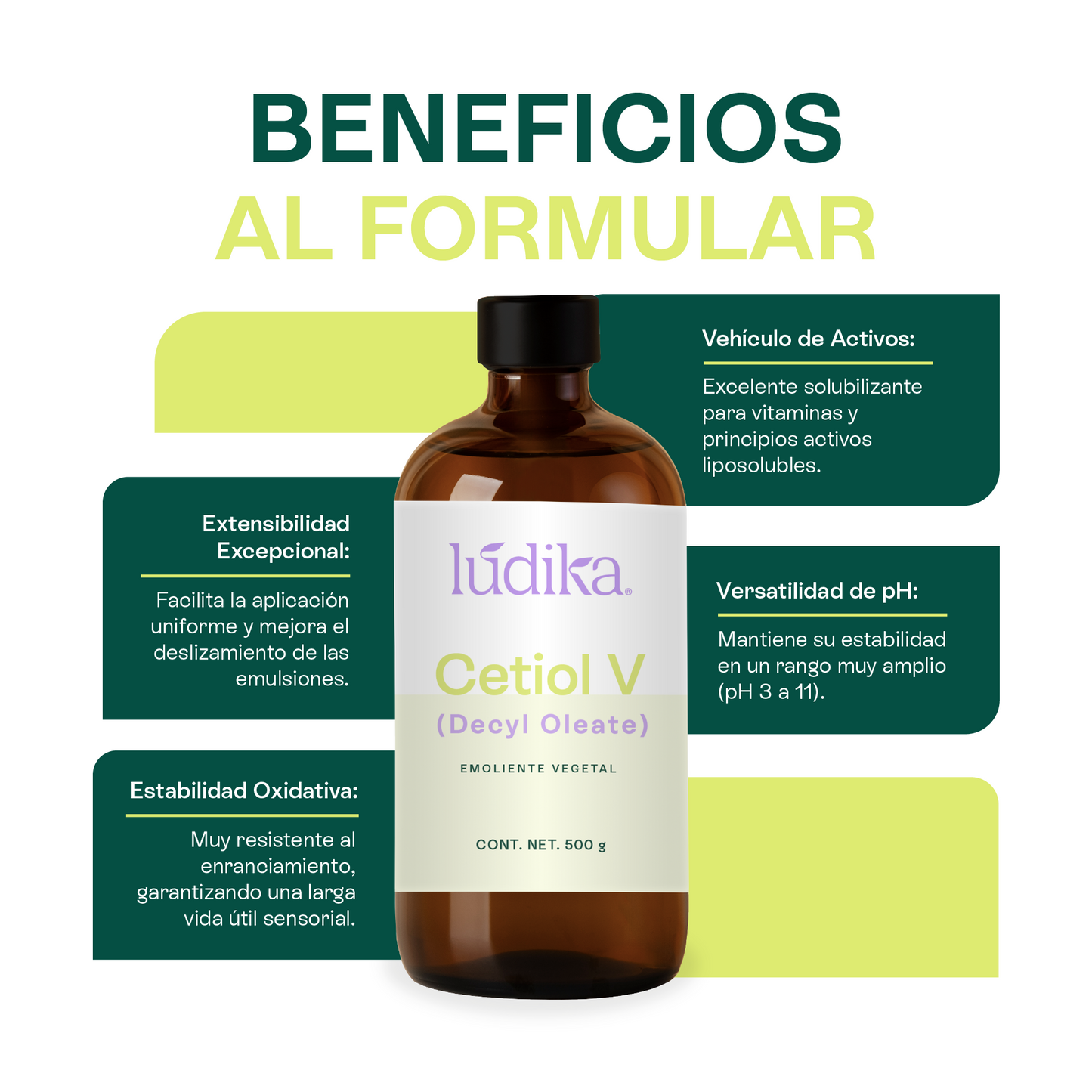Cetiol V | Éster de origen vegetal | Versatilidad y Afinidad Lipídica para la fase Oleosa