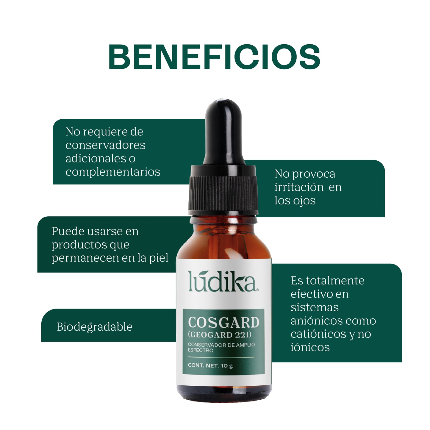 Cosgard Geogard 221 | Conservador de Amplio Espectro aprobado para uso en cosmética natural