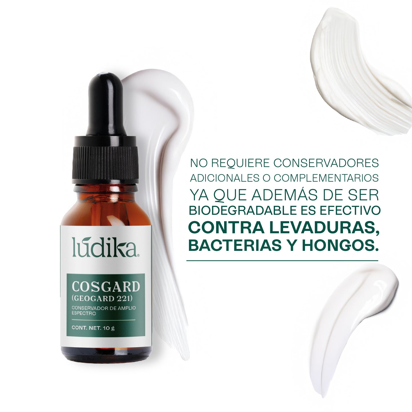 Cosgard Geogard 221 | Conservador de Amplio Espectro aprobado para uso en cosmética natural