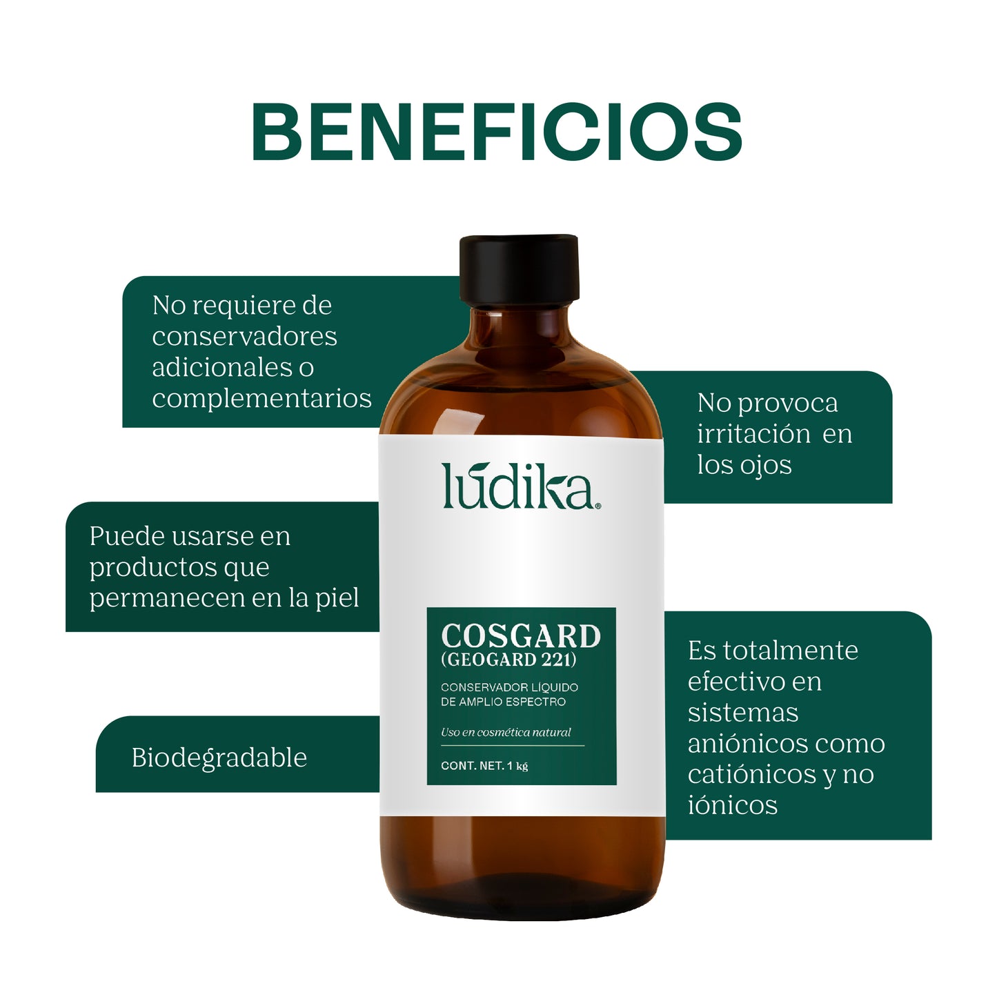 Cosgard Geogard 221 | Conservador de Amplio Espectro aprobado para uso en cosmética natural