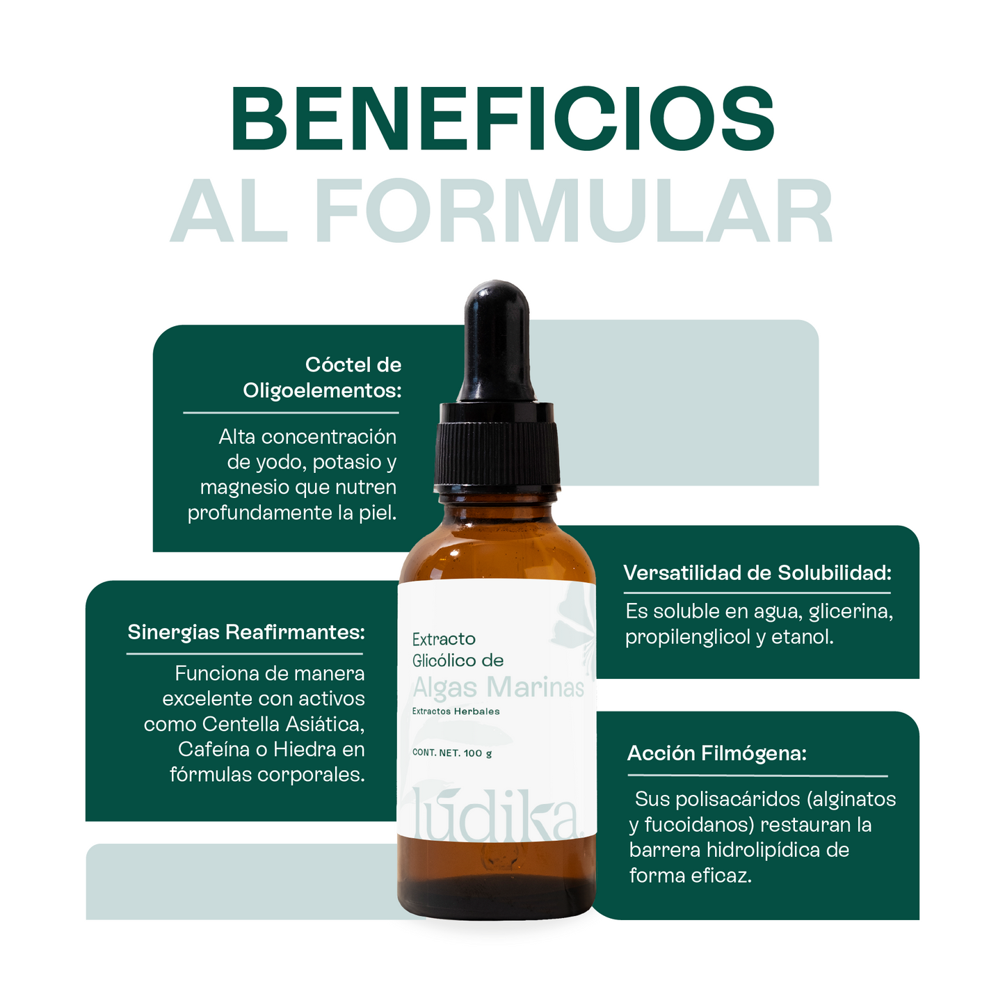 Extracto Glicólico de Algas Marinas | Facial, Corporal y Capilar | Activo Hidratante, Remineralizante y Tonificante