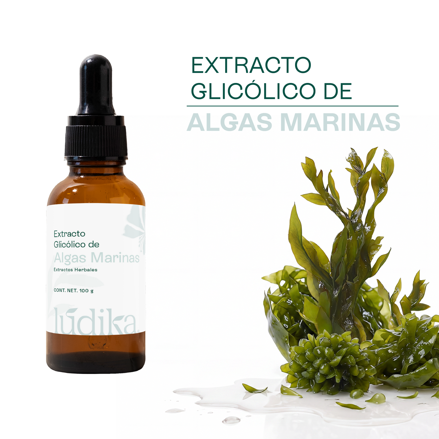 Extracto Glicólico de Algas Marinas | Facial, Corporal y Capilar | Activo Hidratante, Remineralizante y Tonificante