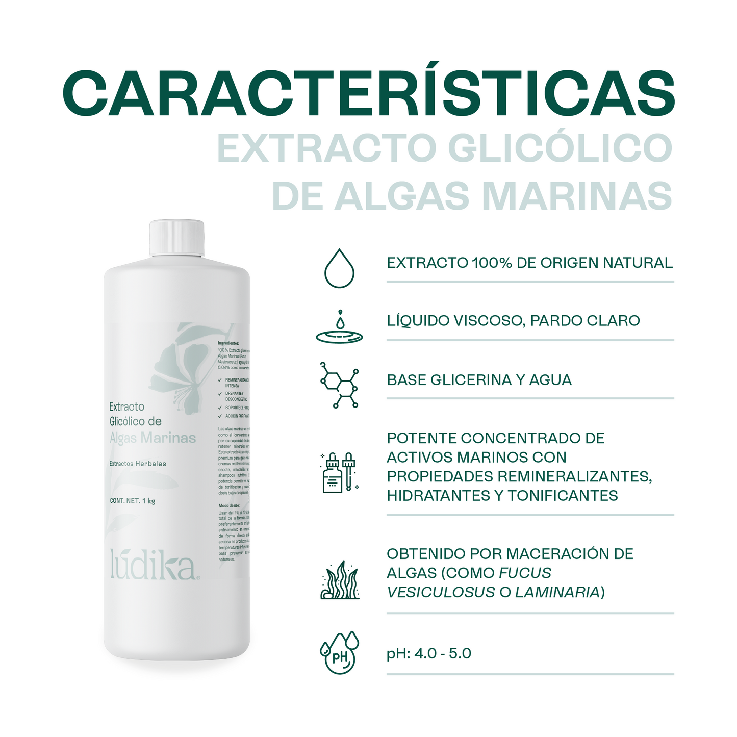 Extracto Glicólico de Algas Marinas | Facial, Corporal y Capilar | Activo Hidratante, Remineralizante y Tonificante