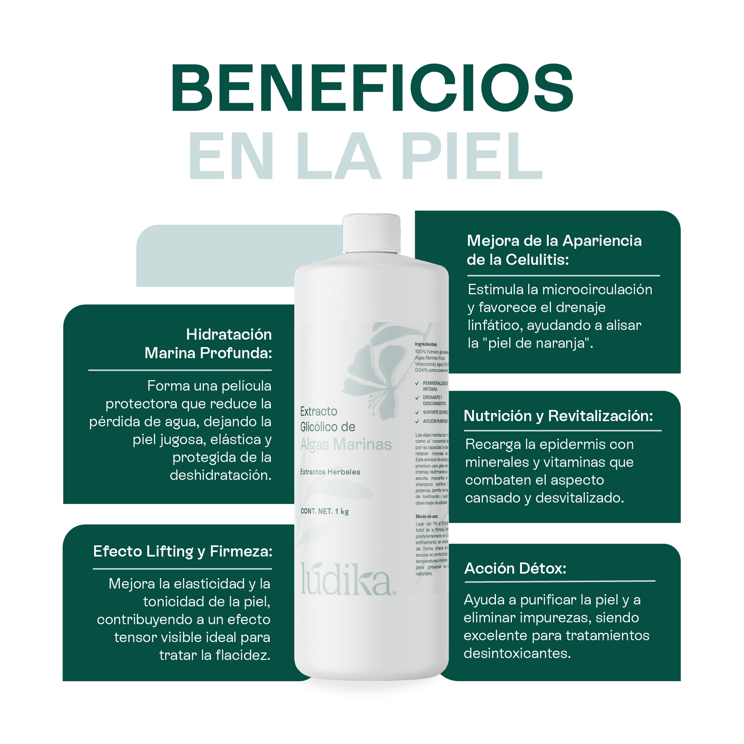 Extracto Glicólico de Algas Marinas | Facial, Corporal y Capilar | Activo Hidratante, Remineralizante y Tonificante