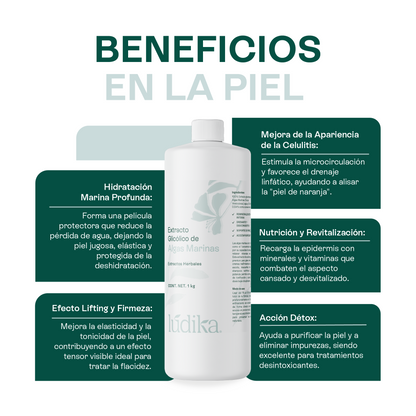 Extracto Glicólico de Algas Marinas | Facial, Corporal y Capilar | Activo Hidratante, Remineralizante y Tonificante