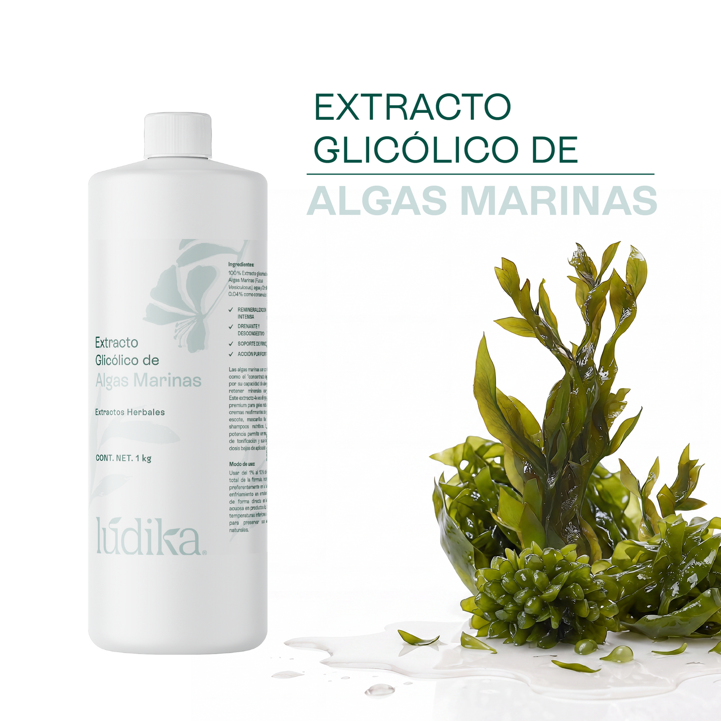Extracto Glicólico de Algas Marinas | Facial, Corporal y Capilar | Activo Hidratante, Remineralizante y Tonificante