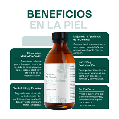Extracto Glicólico de Algas Marinas | Facial, Corporal y Capilar | Activo Hidratante, Remineralizante y Tonificante