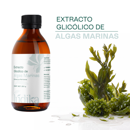 Extracto Glicólico de Algas Marinas | Facial, Corporal y Capilar | Activo Hidratante, Remineralizante y Tonificante
