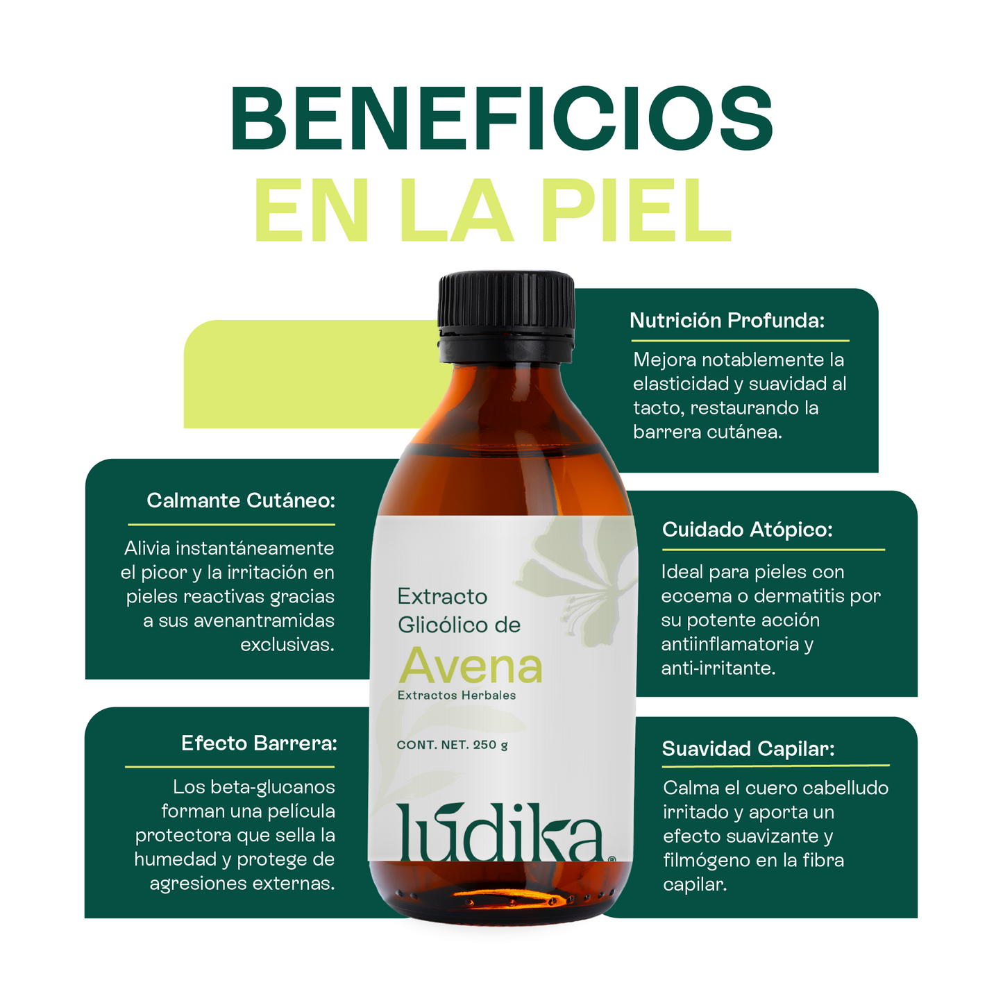 Extracto Glicólico de Avena | Facial, Corporal y Capilar | Activo Calmante, Anti-Irritante y Protector de la Barrera Cutánea