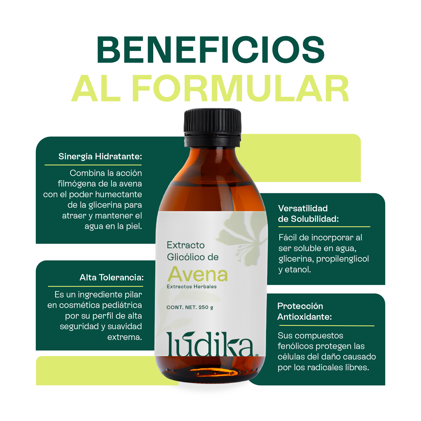Extracto Glicólico de Avena | Facial, Corporal y Capilar | Activo Calmante, Anti-Irritante y Protector de la Barrera Cutánea