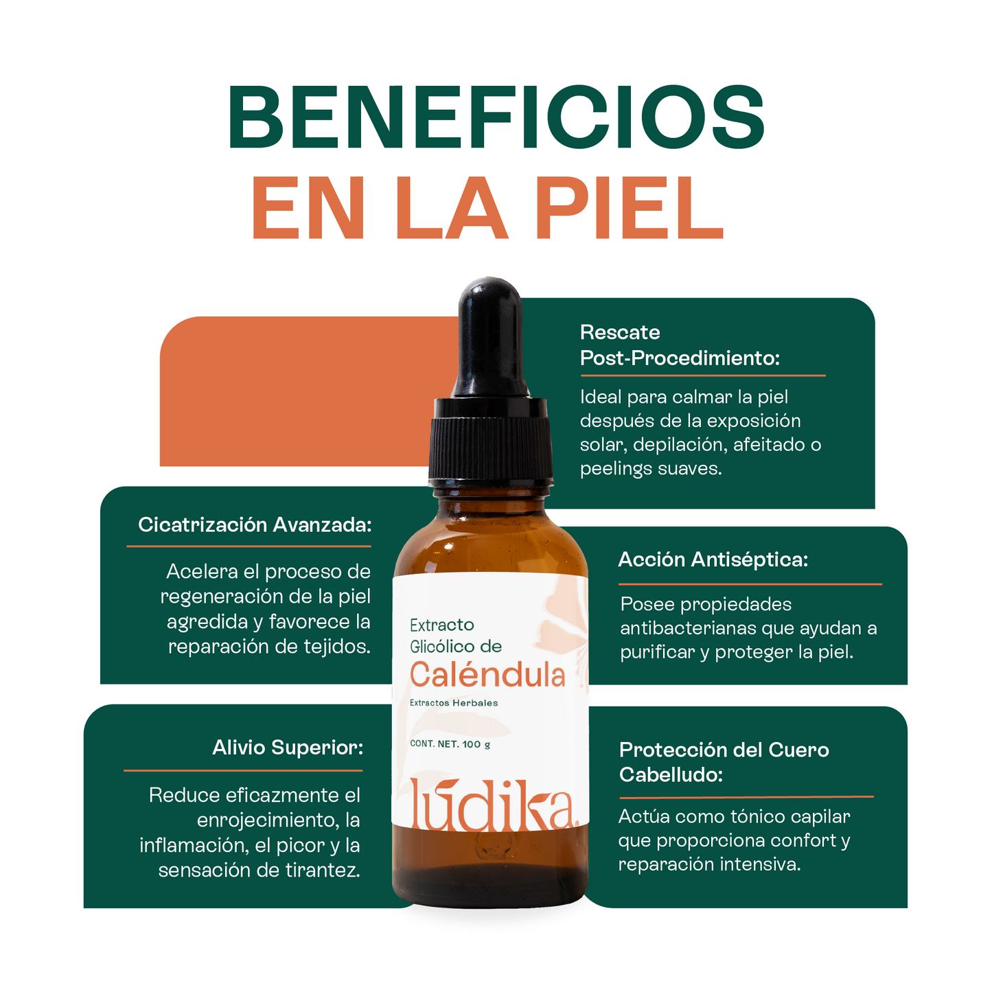 Extracto Glicólico de Caléndula | Facial, Corporal y Capilar | Activo Calmante, Reparador y Anti-Irritante
